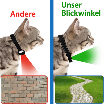 PetCamPro